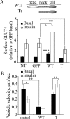 FIGURE 5: