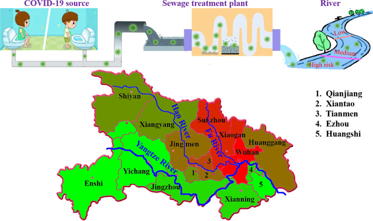 Unlabelled Image