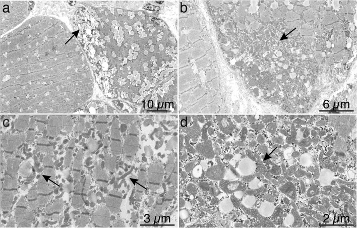 Fig. 3