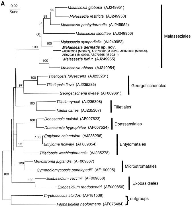 FIG. 1.