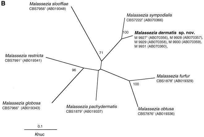 FIG. 1.