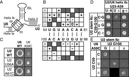 Figure 6.