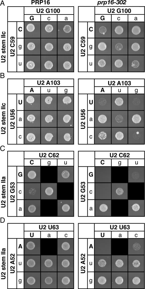 Figure 3.