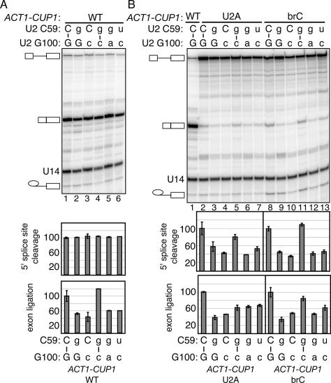 Figure 2.