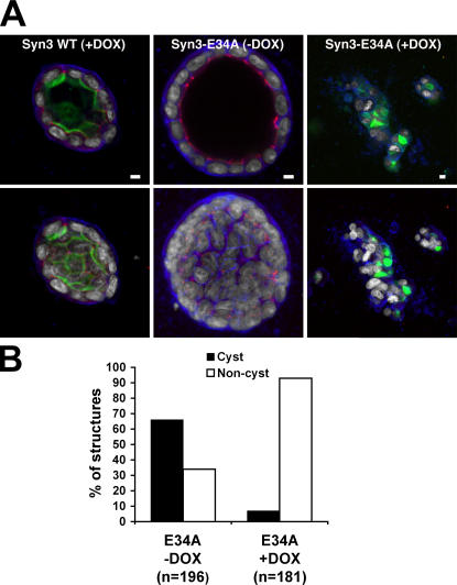 Figure 10.