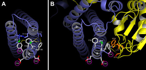 Figure 7.