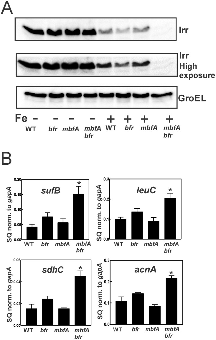 Fig 5