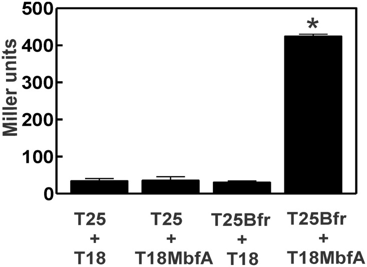 Fig 7