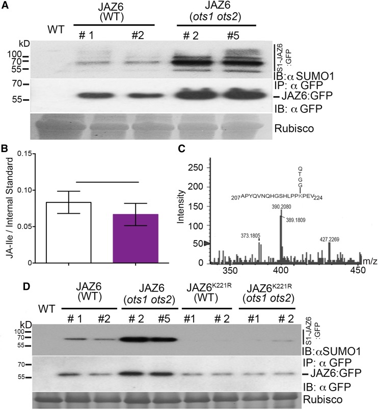 Figure 3.