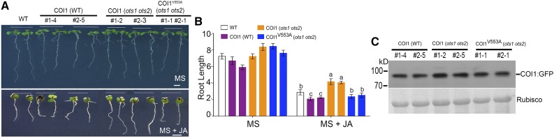 Figure 9.