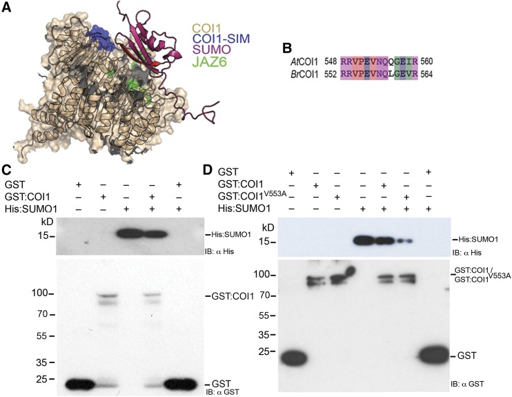 Figure 6.