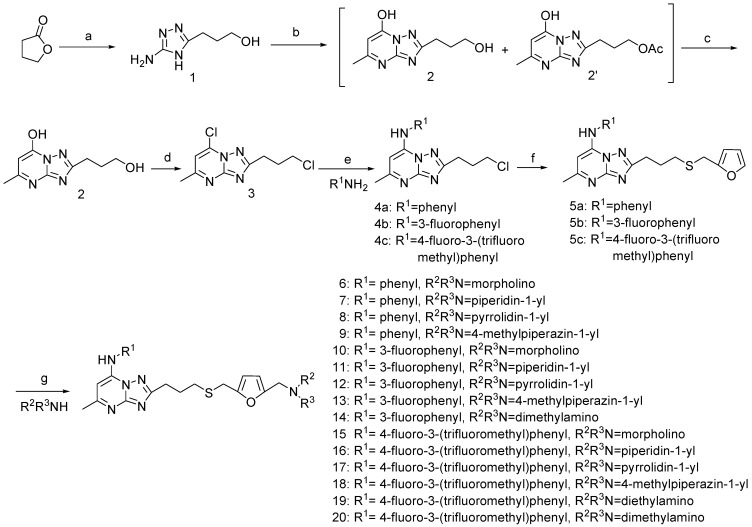 Scheme 1