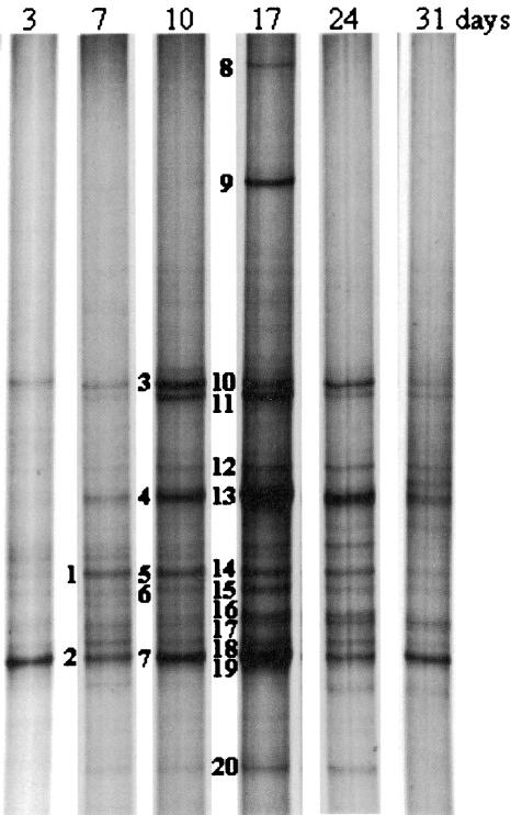 FIG. 5.