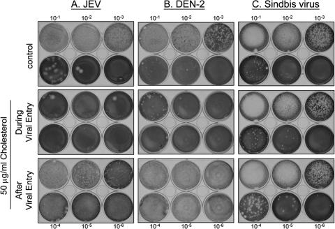 FIG. 5.