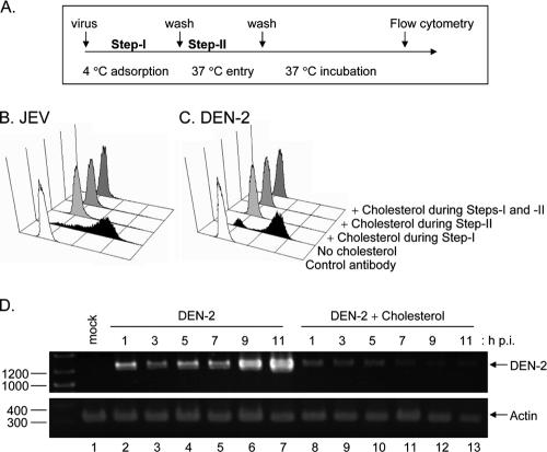 FIG. 7.