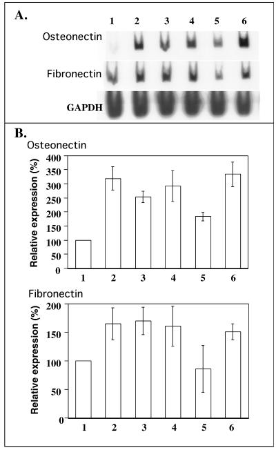 Fig 7.