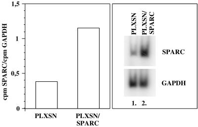 Fig 8.