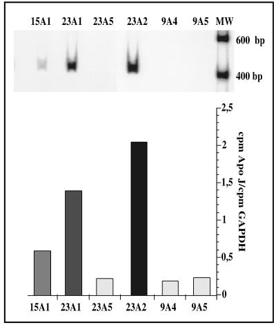 Fig 1.