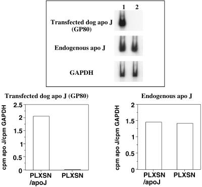 Fig 3.