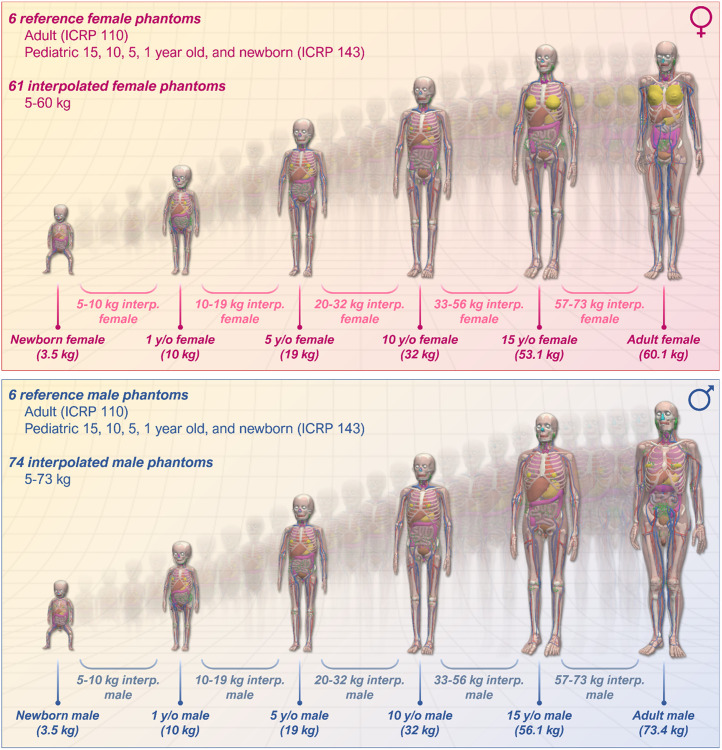 FIGURE 4.