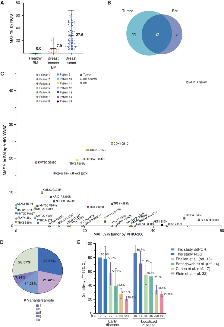 Figure 2. NGS-based detection of breast cancer in BM using a targeted sequencing assay. A, Variants detected by the NGS panel VHIO-YWBC in healthy BM (n = 0) and breast cancer BM (n = 26), as well as in tumor tissue with the VHIO-300 NGS panel (n = 94), represented as % of MAF. The mean and range are depicted in the chart. B, Number of variants detected in common between BM and matched tumor tissue from the case cohort, focusing only on genes captured by both the VHIO-YWBC and VHIO-300 panels. C, Variants detected by NGS in BM samples by VHIO-YWBC (y-axis) vs. variants detected by the VHIO-300 panel in formalin-fixed, paraffin embedded (FFPE) solid tumor biopsies (x-axis) only in genes common to both panels. Data are represented as MAF %. Color coding is used to discriminate patients. The shape of the symbols represents variants detected only in BM (circles), only in FFPE (triangles), or in both (squares). D, Percentage of cases according to the number of variants detected in BM by NGS (n = 14). E, Sensitivity of our ddPCR and NGS approaches for the detection of ctDNA in early (stages I–II) and localized (stages I–III) disease and compared with four reported methods for early breast cancer detection from plasma; data are represented as a percentage, with exact mean numbers and plus/minus a 95% confidence interval (CI).