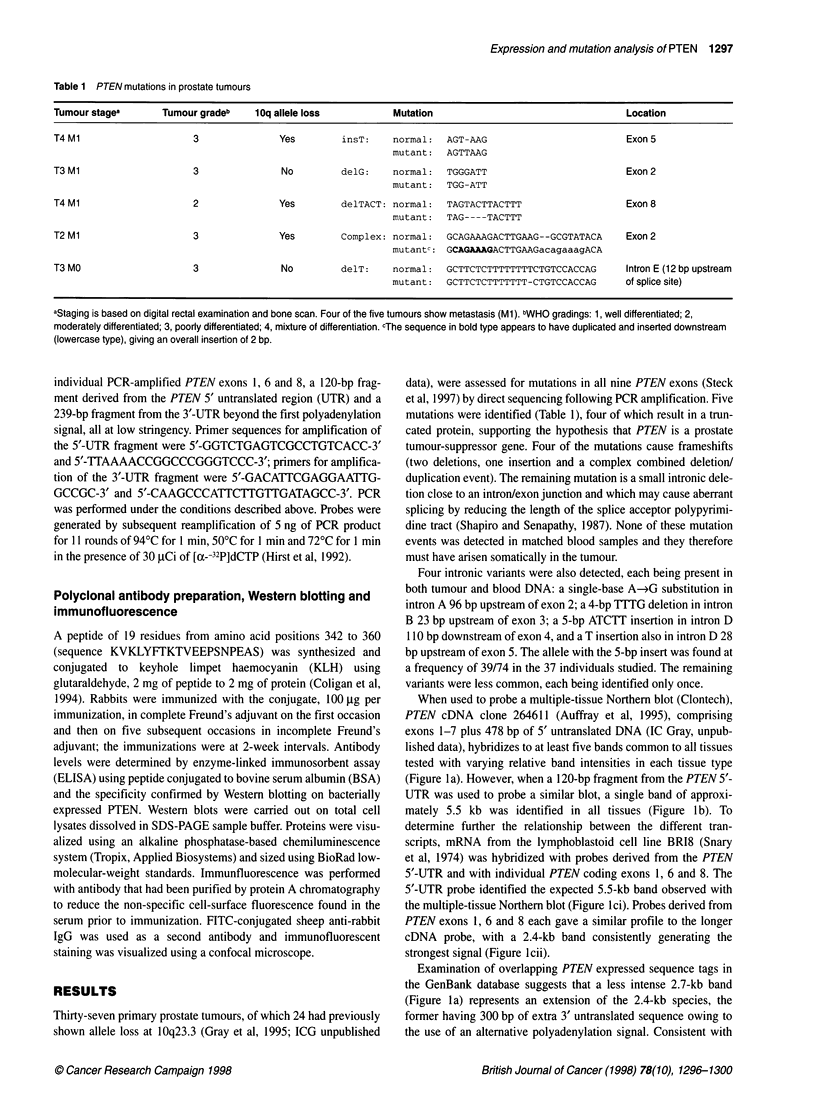 Mutation and expression analysis of the putative prostate tumour ...