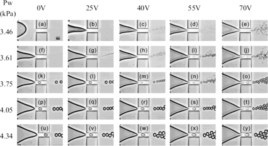 Figure 9.