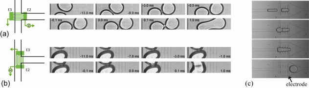 Figure 14.