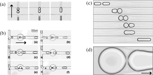 Figure 11.