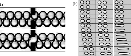 Figure 13.