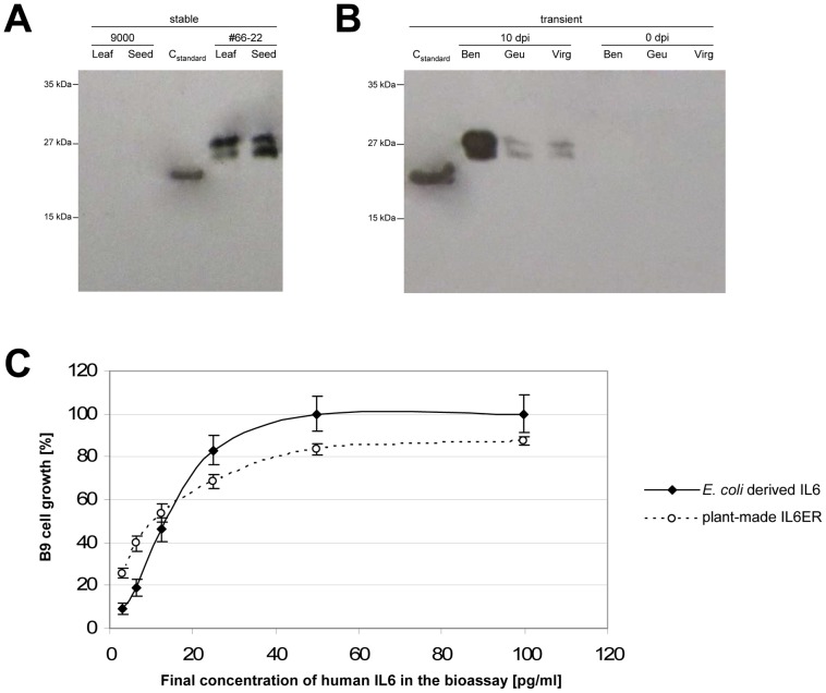 Figure 9