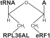 Fig. (6)