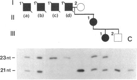 graphic file with name pnas01051-0056-a.jpg