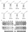 FIG. 7