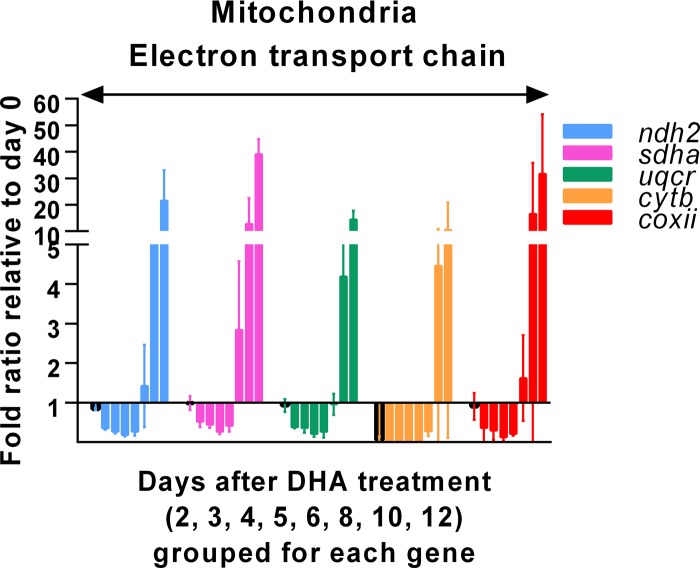 FIG 6