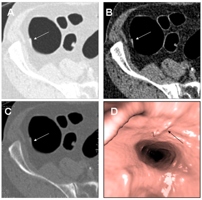 Fig. 5