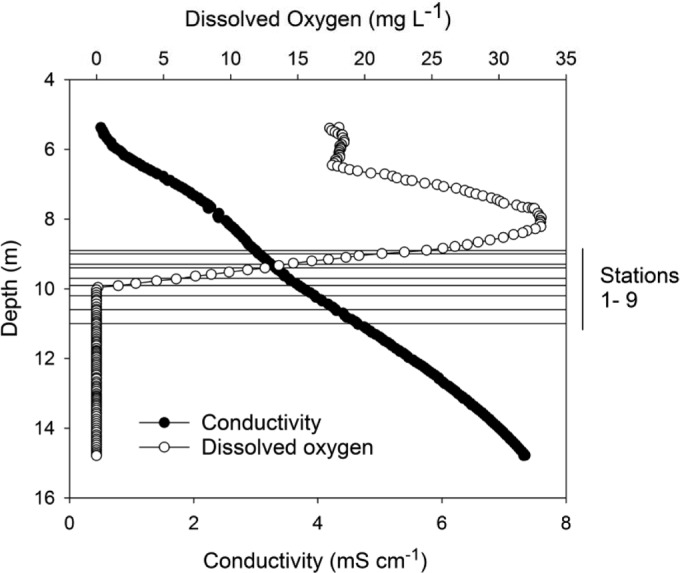 FIG 2