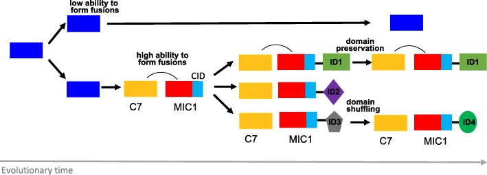 Fig. 8