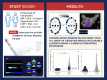 Graphical Abstract