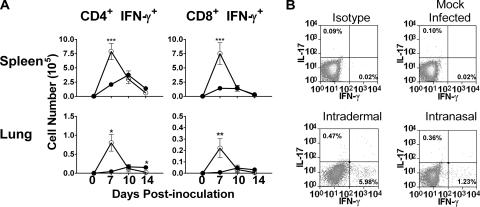 FIG. 4.