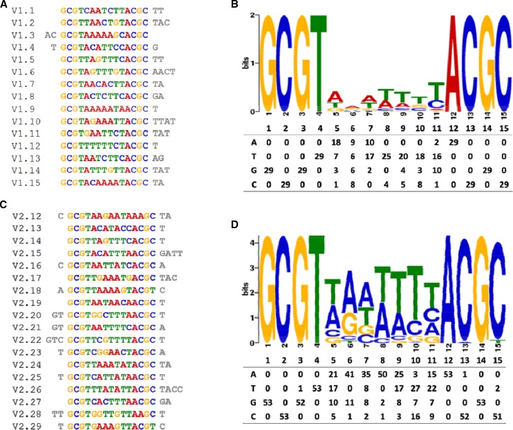 Figure 6.