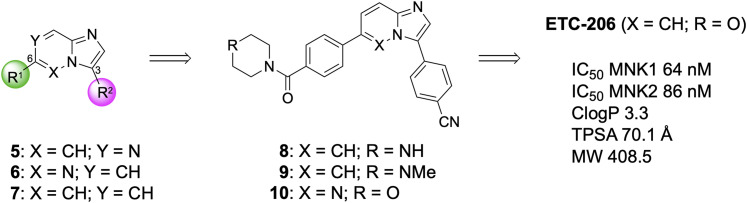 Fig. 5.