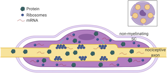 Fig. 7.