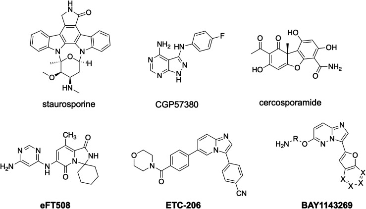 Fig. 3.