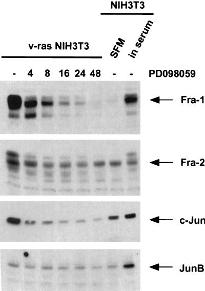 FIG. 6