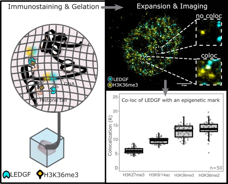 Graphical Abstract