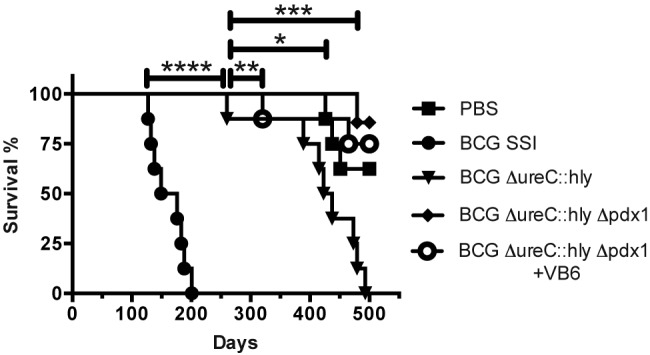 FIG 2 