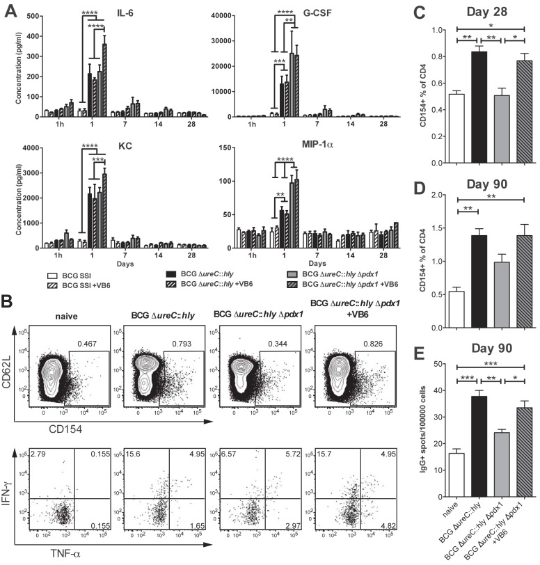 FIG 3 