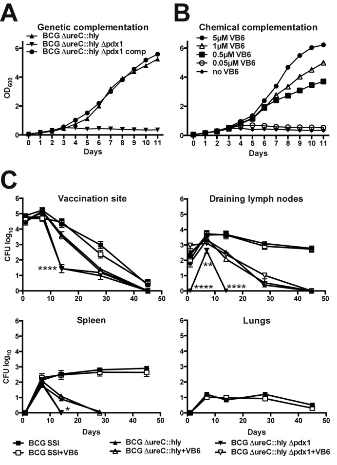 FIG 1 