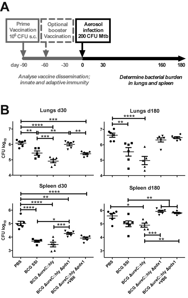 FIG 4 